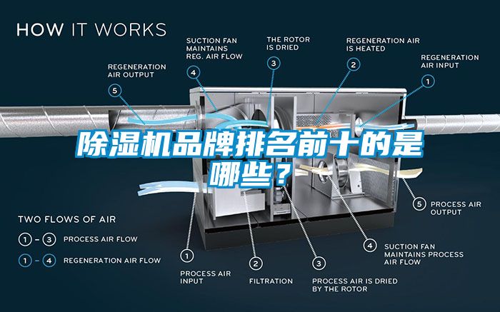 麻豆视频黄网站品牌排名前十的是哪些？