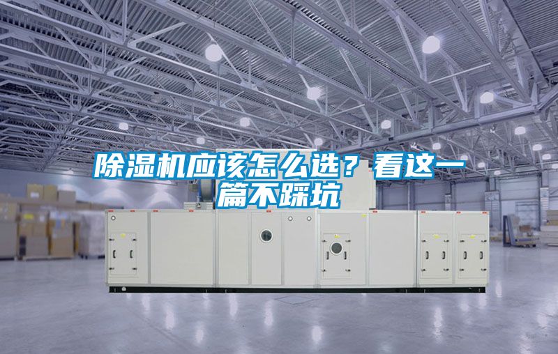 麻豆视频黄网站应该怎么选？看这一篇不踩坑