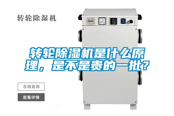 转轮麻豆视频黄网站是什么原理，是不是贵的一批？