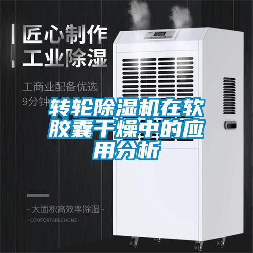 转轮麻豆视频黄网站在软胶囊干燥中的应用分析