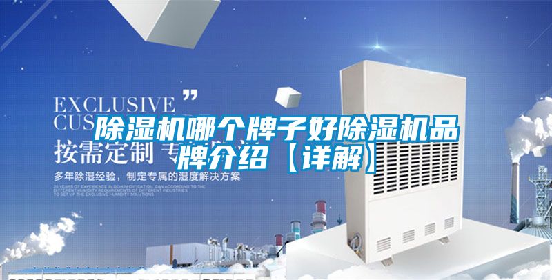麻豆视频黄网站哪个牌子好麻豆视频黄网站品牌介绍【详解】