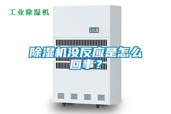 麻豆视频黄网站没反应是怎么回事？