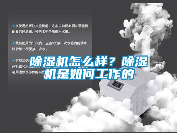 麻豆视频黄网站怎么样？麻豆视频黄网站是如何工作的