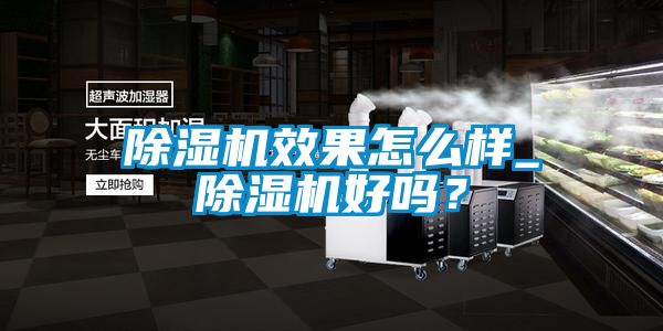 麻豆视频黄网站效果怎么样_麻豆视频黄网站好吗？