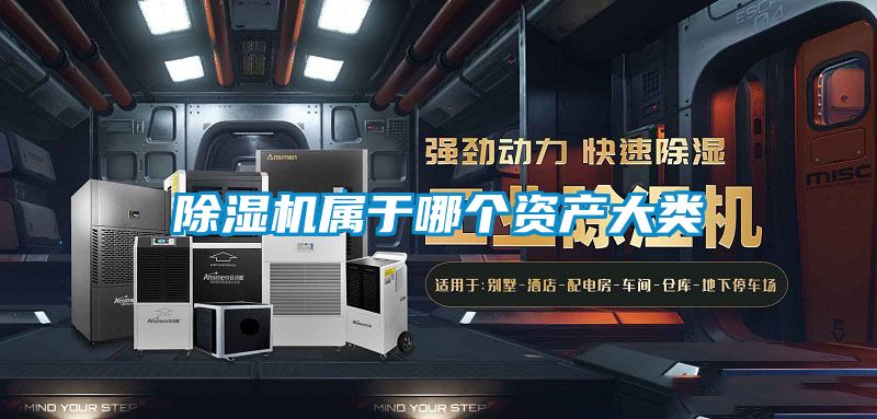 麻豆视频黄网站属于哪个资产大类