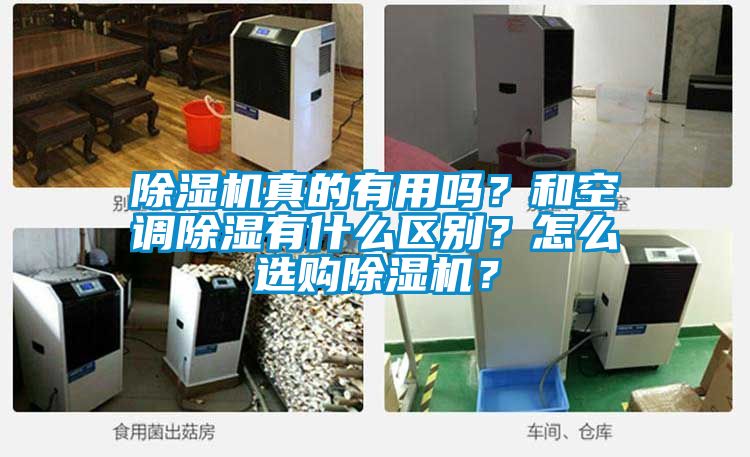 麻豆视频黄网站真的有用吗？和空调除湿有什么区别？怎么选购麻豆视频黄网站？