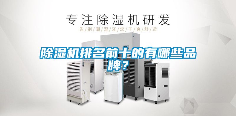 麻豆视频黄网站排名前十的有哪些品牌？