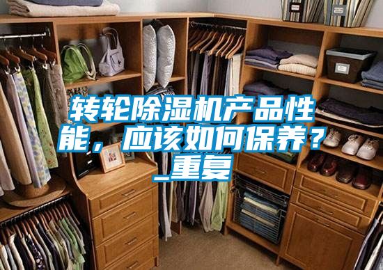 转轮麻豆视频黄网站产品性能，应该如何保养？_重复