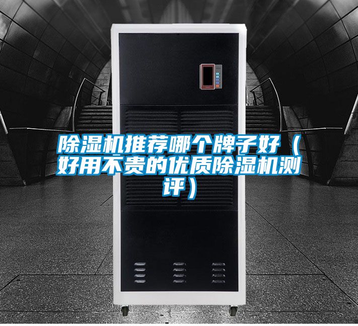 麻豆视频黄网站推荐哪个牌子好（好用不贵的优质麻豆视频黄网站测评）
