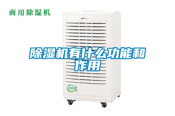 麻豆视频黄网站有什么功能和作用