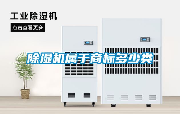 麻豆视频黄网站属于商标多少类