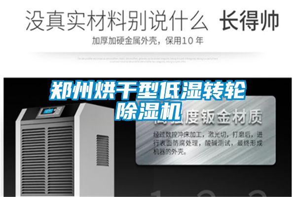 郑州烘干型低湿转轮麻豆视频黄网站