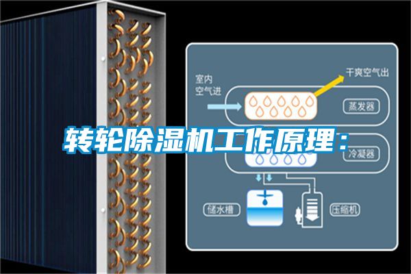 转轮麻豆视频黄网站工作原理：