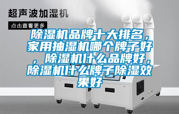 麻豆视频黄网站品牌十大排名，家用抽湿机哪个牌子好，麻豆视频黄网站什么品牌好，麻豆视频黄网站什么牌子除湿效果好
