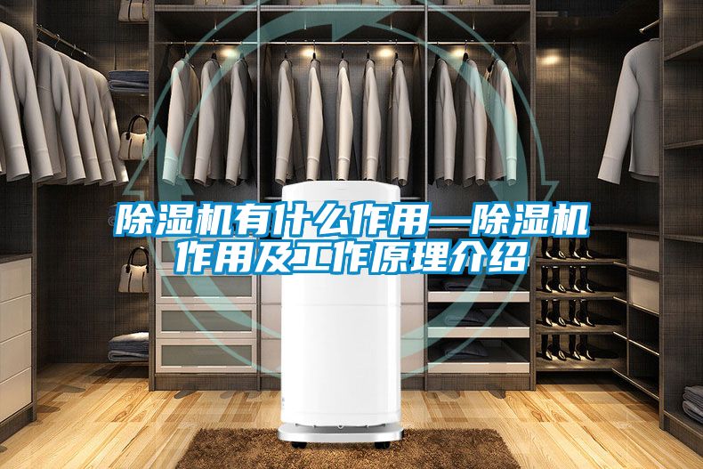 麻豆视频黄网站有什么作用—麻豆视频黄网站作用及工作原理介绍