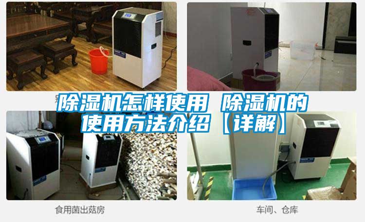 麻豆视频黄网站怎样使用 麻豆视频黄网站的使用方法介绍【详解】