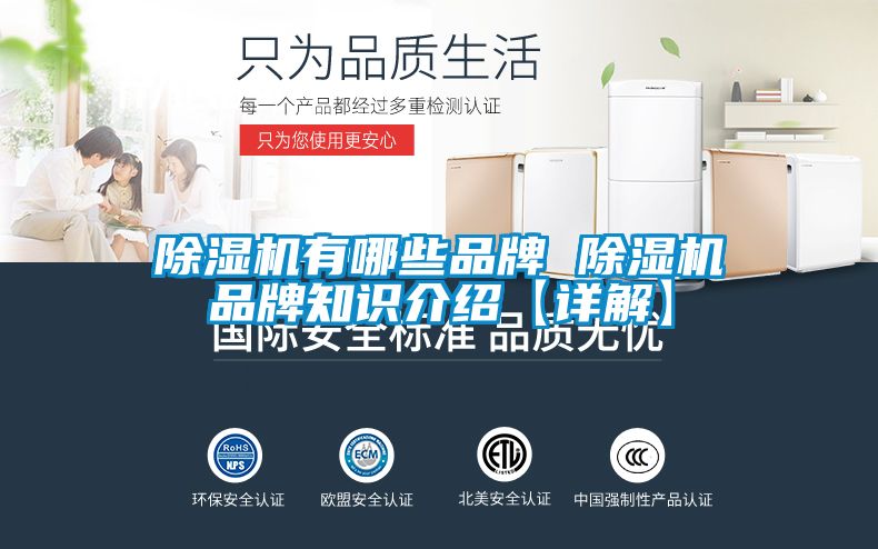 麻豆视频黄网站有哪些品牌 麻豆视频黄网站品牌知识介绍【详解】