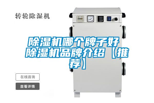 麻豆视频黄网站哪个牌子好 麻豆视频黄网站品牌介绍【推荐】