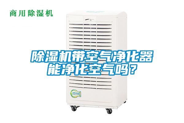 麻豆视频黄网站带空气净化器能净化空气吗？