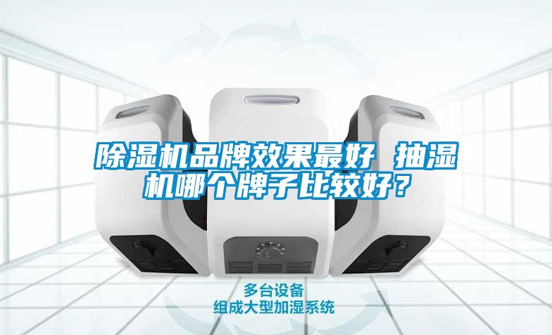 麻豆视频黄网站品牌效果最好 抽湿机哪个牌子比较好？