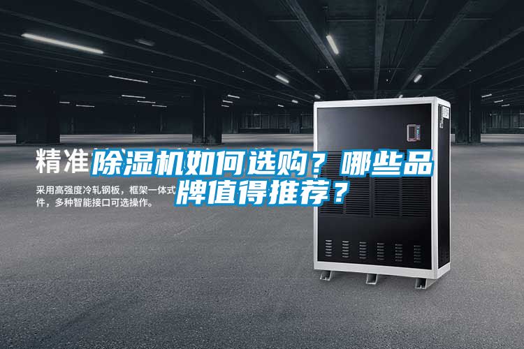 麻豆视频黄网站如何选购？哪些品牌值得推荐？