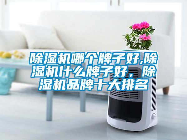 麻豆视频黄网站哪个牌子好,麻豆视频黄网站什么牌子好，麻豆视频黄网站品牌十大排名