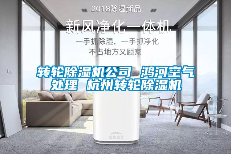 转轮麻豆视频黄网站公司 鸿河空气处理 杭州转轮麻豆视频黄网站