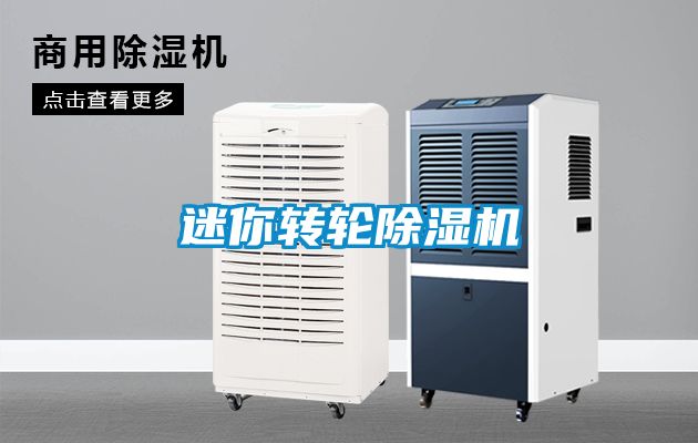 迷你转轮麻豆视频黄网站