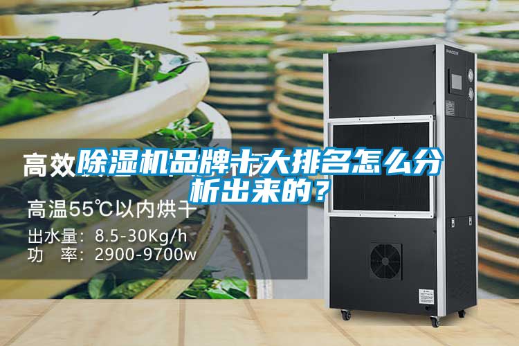 麻豆视频黄网站品牌十大排名怎么分析出来的？