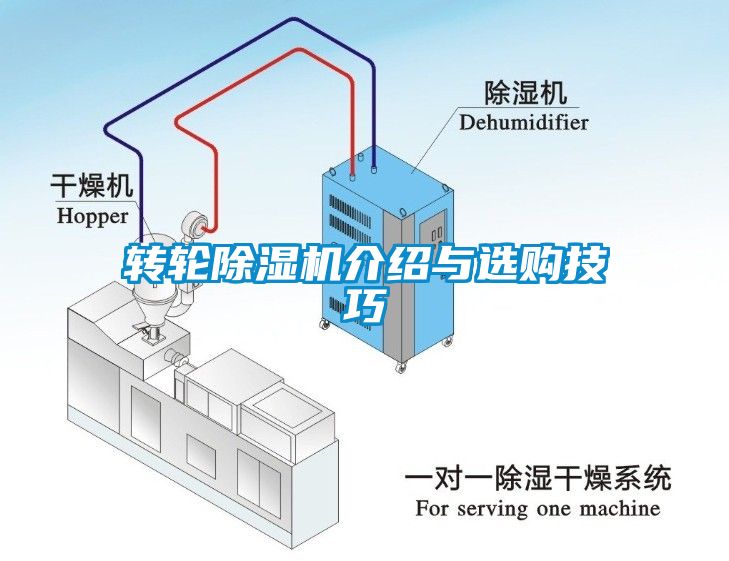 转轮麻豆视频黄网站介绍与选购技巧