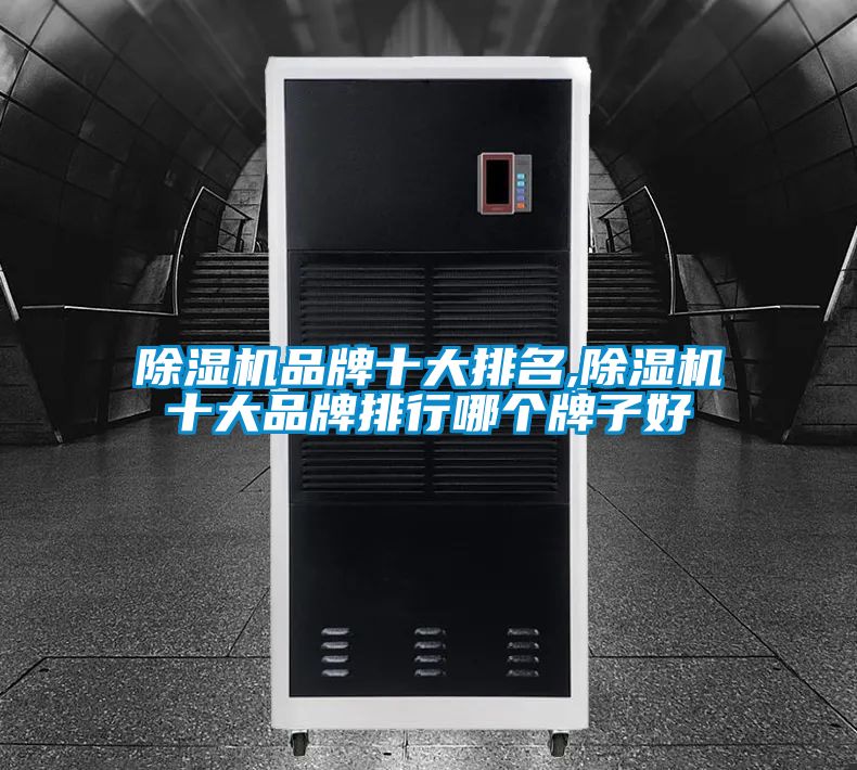 麻豆视频黄网站品牌十大排名,麻豆视频黄网站十大品牌排行哪个牌子好