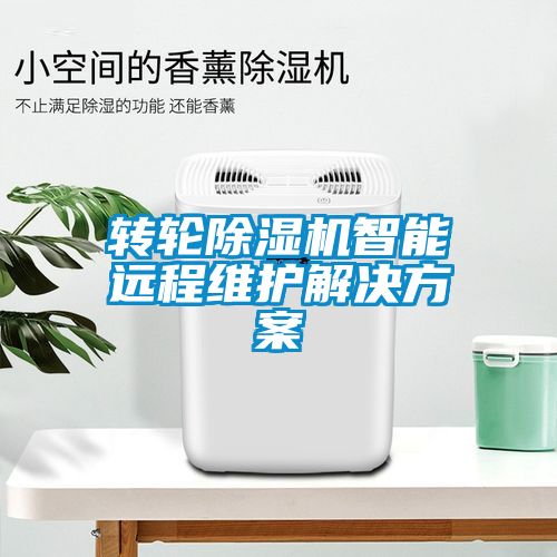 转轮麻豆视频黄网站智能远程维护国产麻豆剧果冻传媒星空视频