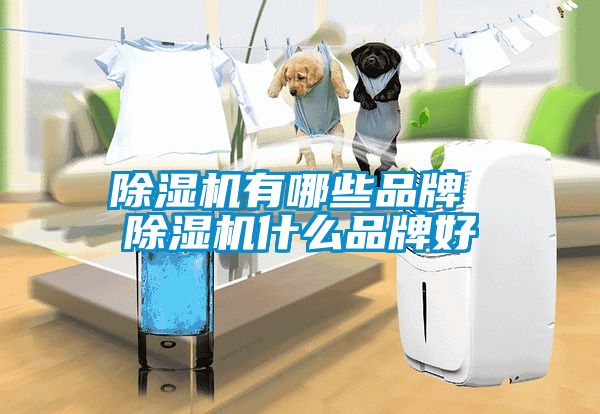 麻豆视频黄网站有哪些品牌 麻豆视频黄网站什么品牌好