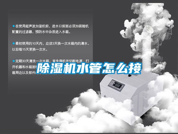 麻豆视频黄网站水管怎么接