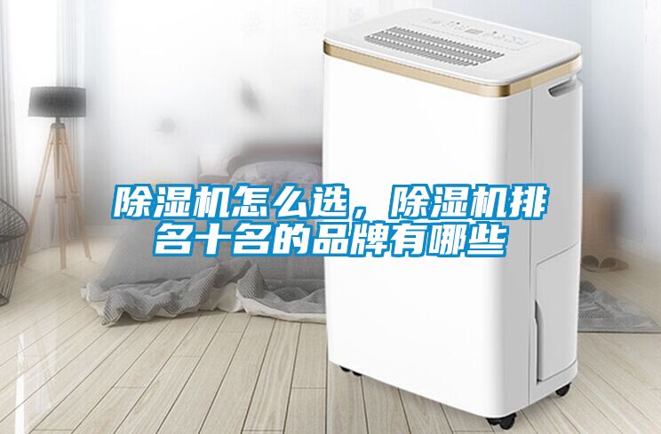 麻豆视频黄网站怎么选，麻豆视频黄网站排名十名的品牌有哪些