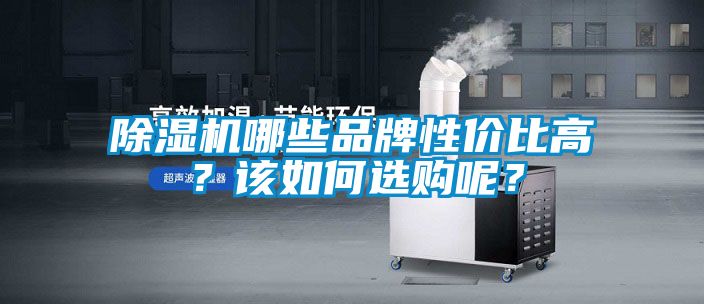 麻豆视频黄网站哪些品牌性价比高？该如何选购呢？
