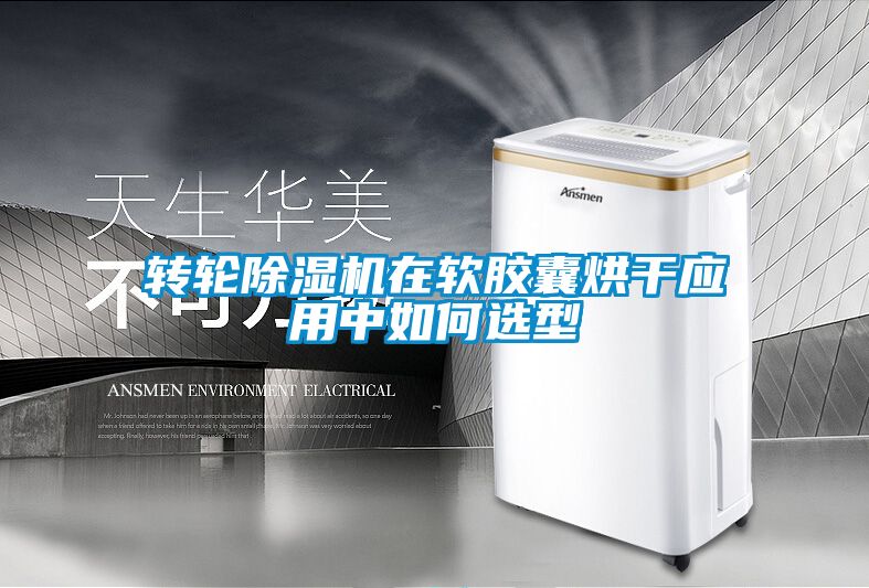转轮麻豆视频黄网站在软胶囊烘干应用中如何选型