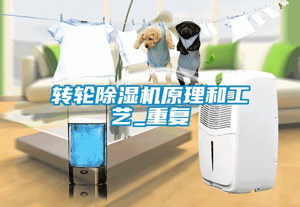 转轮麻豆视频黄网站原理和工艺_重复