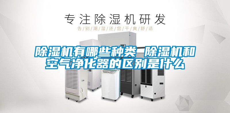 麻豆视频黄网站有哪些种类 麻豆视频黄网站和空气净化器的区别是什么