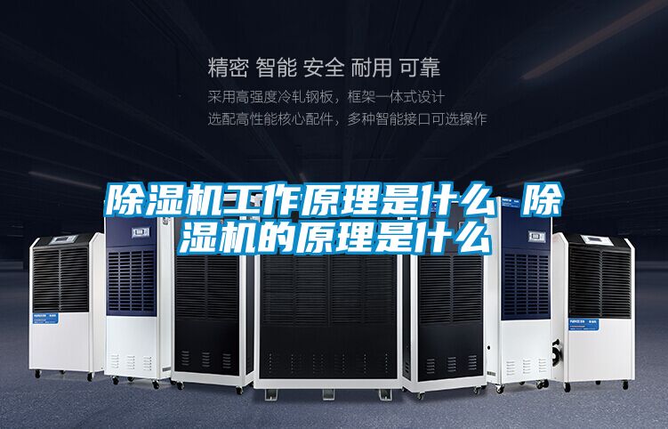 麻豆视频黄网站工作原理是什么 麻豆视频黄网站的原理是什么
