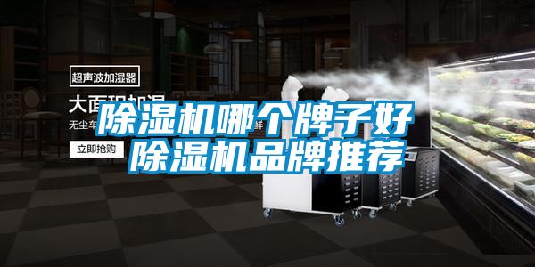 麻豆视频黄网站哪个牌子好 麻豆视频黄网站品牌推荐