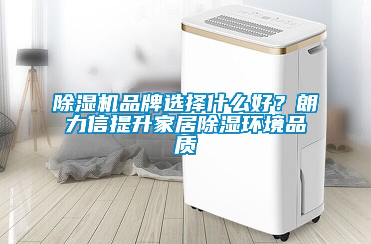 麻豆视频黄网站品牌选择什么好？朗力信提升家居除湿环境品质