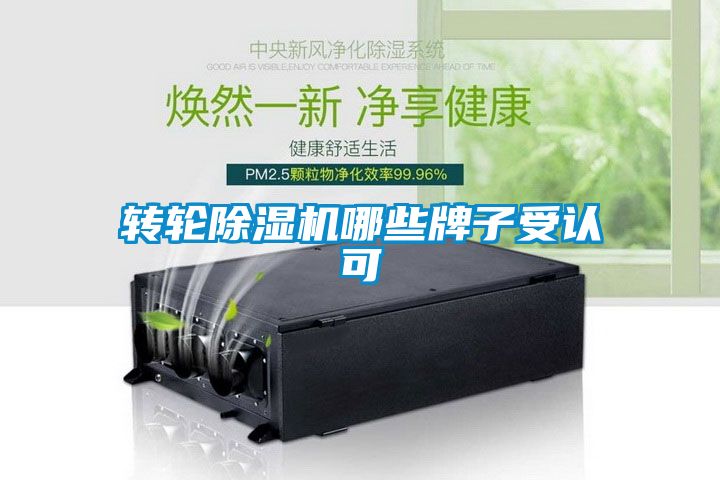 转轮麻豆视频黄网站哪些牌子受认可