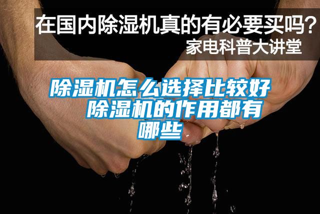 麻豆视频黄网站怎么选择比较好  麻豆视频黄网站的作用都有哪些