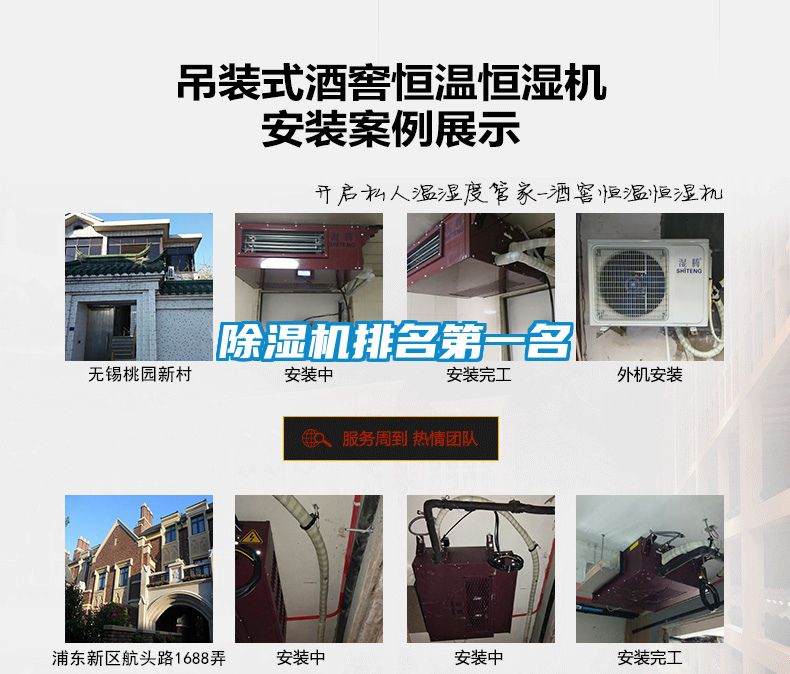 麻豆视频黄网站排名第一名