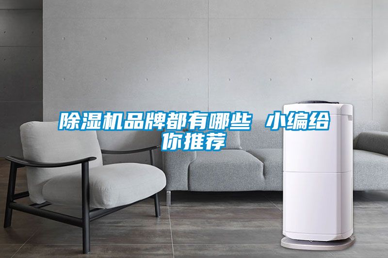 麻豆视频黄网站品牌都有哪些 小编给你推荐