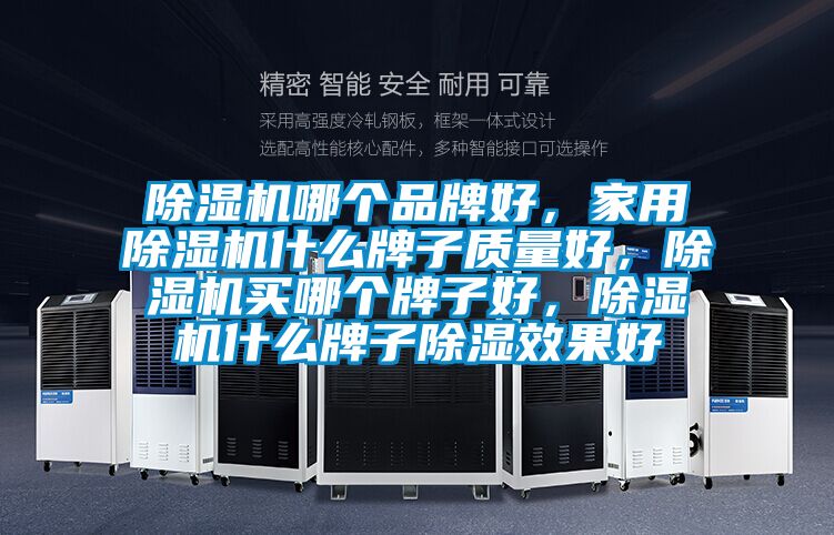 麻豆视频黄网站哪个品牌好，家用麻豆视频黄网站什么牌子质量好，麻豆视频黄网站买哪个牌子好，麻豆视频黄网站什么牌子除湿效果好