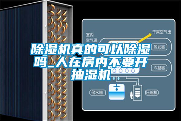 麻豆视频黄网站真的可以除湿吗_人在房内不要开抽湿机