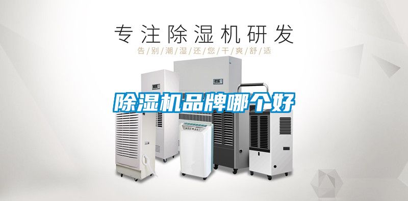 麻豆视频黄网站品牌哪个好