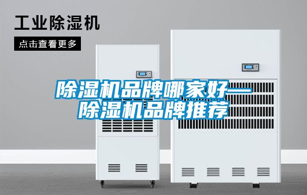 麻豆视频黄网站品牌哪家好—麻豆视频黄网站品牌推荐